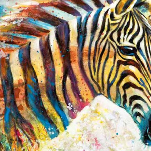 reconversion professionnelle du zèbre